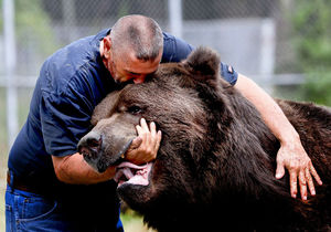 Феноменальная дружба человека и бурого медведя длиною 24 года удивляет и радует сердце
