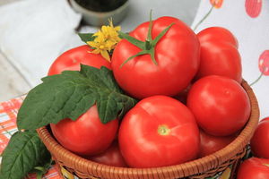 Заметки любителя томатов, лето 2019 года