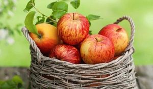 Яблоки на все случаи – и в будние дни, и на праздничный стол