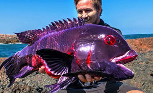 Мужчина закинул удочку и достал самую редкую в мире рыбу