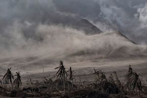 8 мрачных фото последствий извержения вулкана Тааль на Филиппинах