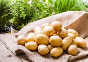 Оздоравливаем картофель на свету
