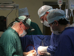 Подмосковные хирурги удалили из интимного места пациентки русую косу Необычная волосяная опухоль росла в течение нескольких лет