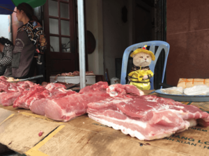 Кот, торгующий на вьетнамском рынке, завоевал сердца тысяч покупателей