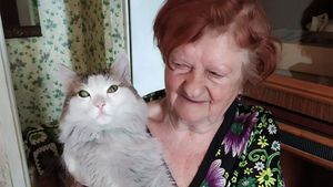 Челябинский кот спас хозяйку во время пожара