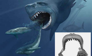 10 самых редких акул найденные в морских глубинах