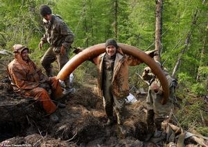 Как чёрные копатели достают миллионы из якутской мерзлоты