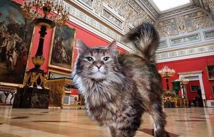 Музеи мира, в которых есть сотрудники-коты