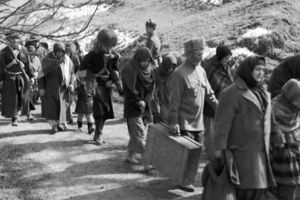 Сколько кавказцев отказались возвращаться из депортации