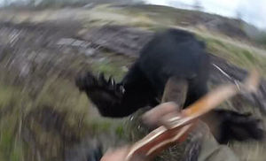 Глупый охотник вышел в лес с луком и встретил черного медведя