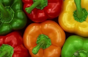 Перцы на МКС: первые овощи, выращиваемые в космосе