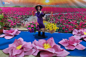 Карнавал цветов в Ханой-Москва