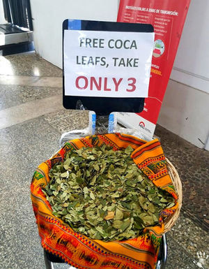 В аэропорту в Перу туристам предлагают бесплатную дозу "Кокаина". Это не только законно, но и полезно!
