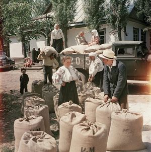 Неизвестные цветные фото повседневной жизни СССР 1950-х