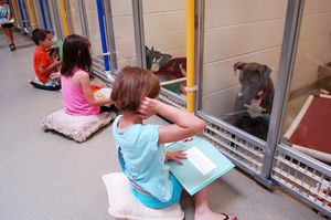 Дети читают бездомным собакам