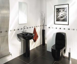 Чёрно-белый интерьер: эффектный дизайн туалета — лучшие идеи