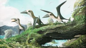 Учёные открыли новый вид миниатюрных крылатых динозавров