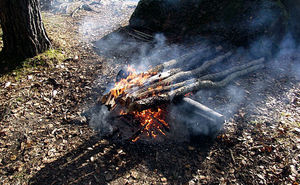 Охотничье корыто: костер на 30 часов жаркого пламени