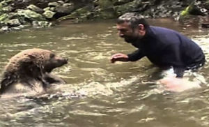 Медведица не могла добраться до медвежат в холодной воде: лесник не стал стоять на берегу и шагнул в реку
