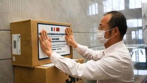Salone del Mobile.Milano организовала передачу медицинских масок из Китая в Италию