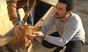 350 спасенных собак: парень возвращает брошенным беднягам шанс на жизнь