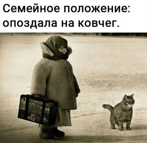 Если один учитель не может преподавать все предметы, то как можно ожидать, что один студент выучит все предметы?