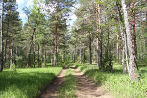 Мы не деревенские, хотя и стали здесь местными