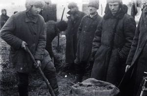 «Пьяный хлеб»: какая загадочная эпидемия случилась в СССР в 1930-х годах