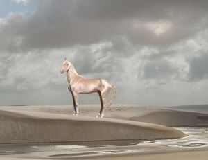 Изабелловая лошадь — удивительное создание, считающееся редчайшими в мире