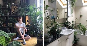 Фанат-садовник превратил квартиру в джунгли