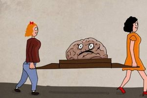 Как мужчины выносят мозг