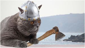 Викинги и их коты