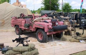 Зачем в некоторых армиях используют розовый камуфляж