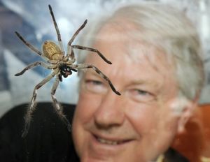 Австралийский «Человек-Паук» проведет три недели с ядовитыми пауками