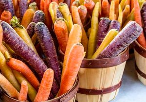 Морковь: обеспечь условия для хорошего урожая