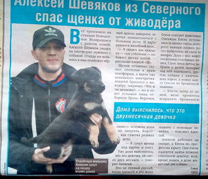 Семья москвичей спасла щенка и котенка. Теперь они живут вместе