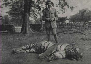 Самый известный тигр