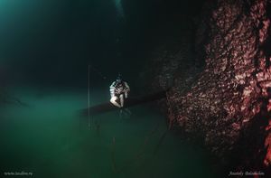 Мистическая подводная река протекает вдоль океанского дна в Мексике