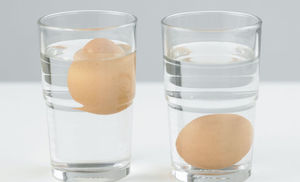 Яйца испортились: 10 способов проверки свежести продуктов