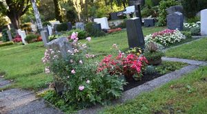 Что посадить на кладбище