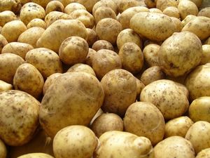 Как обрабатывают картофель
