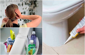 Советы, которые помогут защитить ванную комнату от плесени и грибка