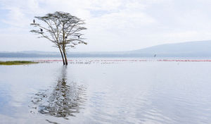 5 самых восхитительных озер мира, 20 фото