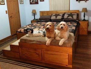 Как выглядит специальная кровать со спальным местом для домашних животных