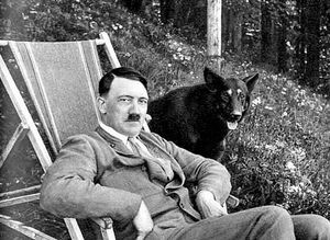 Зачем Гитлер перед смертью отравил своих собак