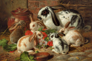 Почему на Руси употребление в пищу мяса кролика считалось грехом
