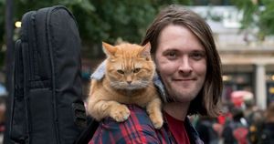 В Лондоне умер герой книг-бестселлеров рыжий уличный кот Боб