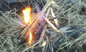 Как добыть огонь в сыром лесу