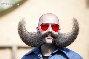 Чемпионат усов и бород в европе