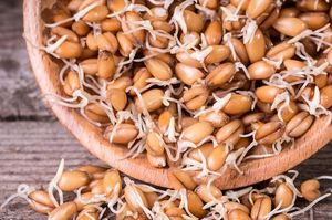 Как и зачем есть пророщенную пшеницу